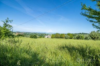 TER. AGRICOLO A SELCI