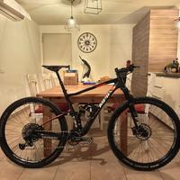 Bicicletta Olympia full