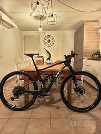 Bicicletta Olympia full