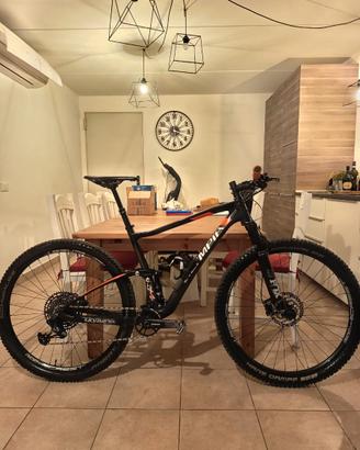 Bicicletta Olympia full