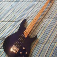 Basso Washburn