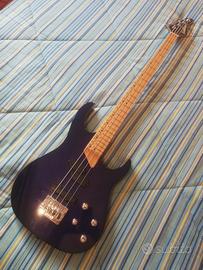Basso Washburn