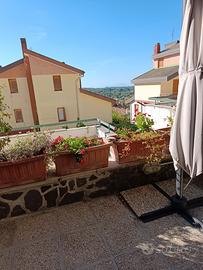 appartamento 