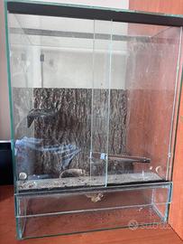 Teca per rettili