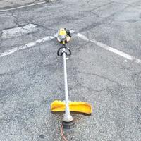 Decespugliatore a scoppio