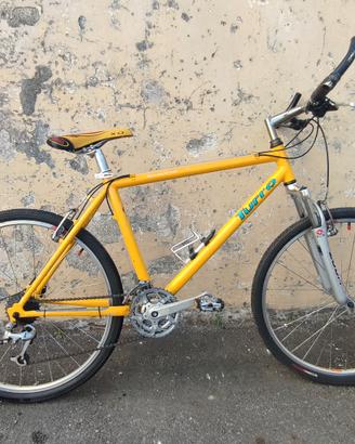 mountain bike marca Turro