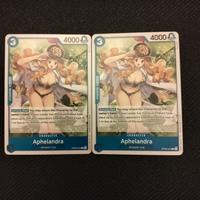 One Piece Aphelandra 