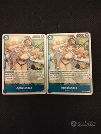 One Piece Aphelandra 