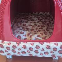 cuccia per gatti o cani di piccola taglia