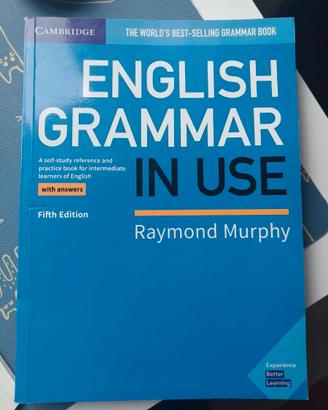 English Grammar in Use – Raymond Murphy - Nuovo