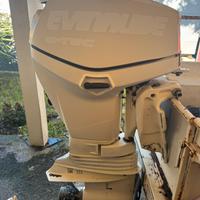 Motore evinrude 40 cv anno 2009