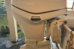 Motore evinrude 40 cv anno 2009