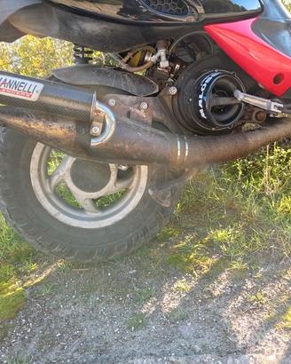 Marmitta giannelli piaggio