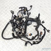 Fascio Cavi Motore Citroën Peugeot Fiat Opel 2.0 B