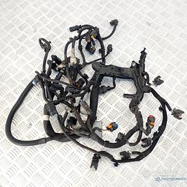 Fascio Cavi Motore Citroën Peugeot Fiat Opel 2.0 B