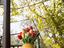 Immagine 29