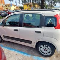 PANDA GPL BOMBOLA NUOVA