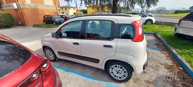 PANDA GPL BOMBOLA NUOVA