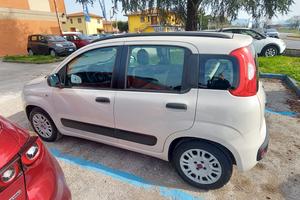 PANDA GPL BOMBOLA NUOVA