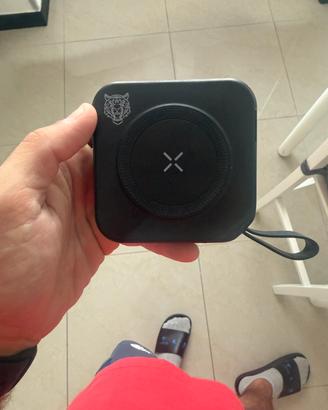 Power bank TigerPower