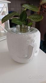 vaso per pianta 10 euro
