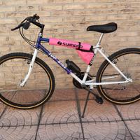 Mountain Bike TOP BIKE anni 80/90