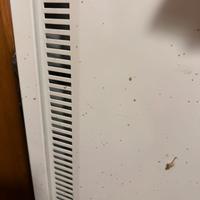 Radiatore elettrico da niro o pavimento