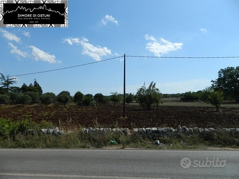TERRENO FRONTE STRADA 5000mq in VALLE D'ITRIA - Vista 3