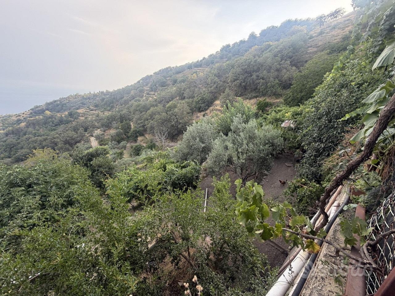 Terreno edificabile a Alì - Vista 3