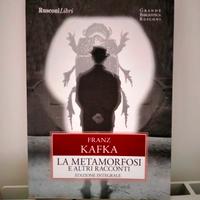 la metamorfosi - F. Kafka 