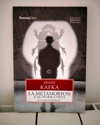 la metamorfosi - F. Kafka 