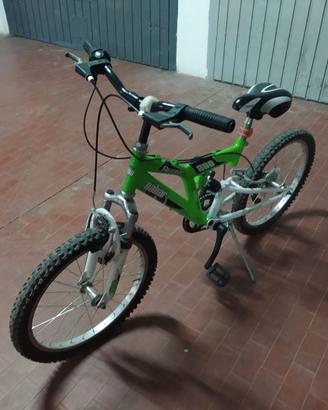 Bicicletta Mountain Bike Regina Dakar 200