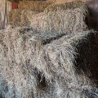 Fieno per pacciamatura