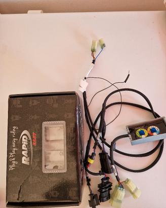 Centralina rapid bike easy 2 x KTM DUKE 790