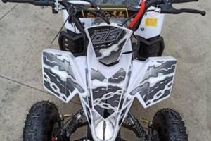 Altro Altro modello - 2023