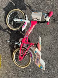 Bici Lombardo 14