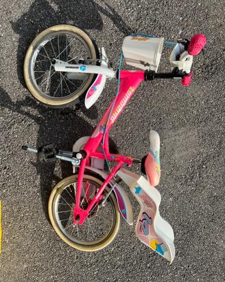Bici Lombardo 14