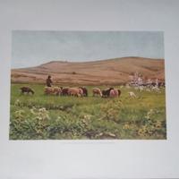 Litografia di Vayreda, The Flock. Modern Art Gall.