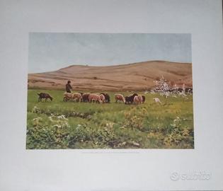 Litografia di Vayreda, The Flock. Modern Art Gall.