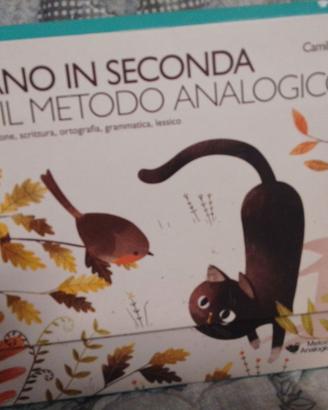 Italiano in seconda Bortolato