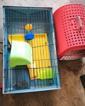 Accessori per conigli