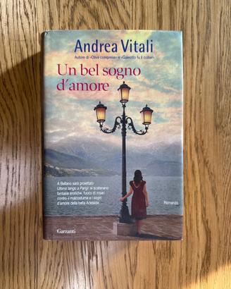 Libro Un Bel Sogno d’Amore - Andrea Vitali