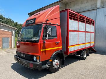 Iveco 65-10 trasporto bestiame
