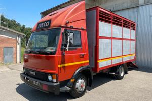Iveco 65-10 trasporto bestiame