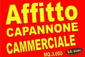 Capannone commerciale con parcheggio