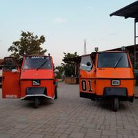 ape 50 genetele lee 01