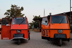 ape 50 genetele lee 01