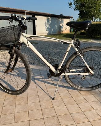 Bici mountain bike unisex