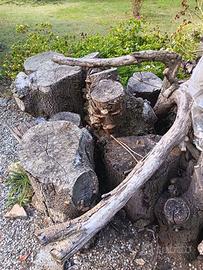 LEGNA IN OMAGGIO