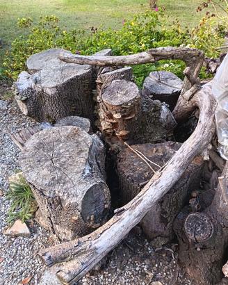 LEGNA IN OMAGGIO